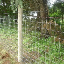 DEWALT DFS9200B1G 9 Gauge 50mm Staples For DCFS950 Fencing Stapler X 960 -DeWALT || Draper || Bosch Sales Store 0091750 700